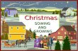 Christmas : SOWING AND GROWING. 2010: The Year of Sowing and Growing GRACEThe first thing we must understand about sowing and growing is that we must.