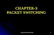 Computer Networks-Packet Switching1 CHAPTER-3 PACKET SWITCHING.