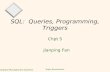 Database Management Systems 1 Raghu Ramakrishnan SQL: Queries, Programming, Triggers Chpt 5 Jianping Fan.