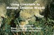 Using Livestock to Manage Invasive Weeds K. George Beck Bioag Sciences  Pest Mgmt Colorado State University.