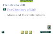 Unit Overview  pages 138-139 The Life of a Cell The Chemistry of Life Atoms and Their Interactions.