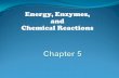 Energy, Enzymes, and Chemical Reactions. Defining Energy Potential energy is the capacity to do work. Kinetic energy is the energy of motion.