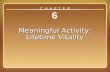 Chapter 6 6 Meaningful Activity: Lifetime Vitality C H A P T E R.
