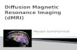 Diffusion Magnetic Resonance Imaging (dMRI) Meysam Golmohammadi.