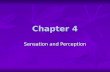Chapter 4 Sensation and Perception. Sensation and Perception: The basics Sensation: the stimulation…