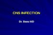 CNS INFECTION Dr. Basu MD. CNS INFECTION Meningeal Infection: meningitis Brain parenchymal infection…
