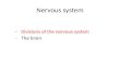 Nervous system -Divisions of the nervous system -The brain.