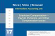17-1 Intermediate Accounting,17E Stice | Stice | Skousen © 2010 Cengage Learning PowerPoint presented…