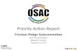 Priority Action Report Friction Ridge Subcommittee SAC Physics/Pattern Melissa R. Gische February 23,…