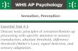 WHS AP Psychology Sensation, Perception Essential Task 4-1: Discuss basic principles of sensation/bottom…