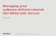 Managing your software-defined network (SD WAN) with Verizon