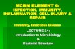 introduction to microbiology & bacterial structure