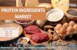 Protein Ingredients Market Forecast Report 2017-2025