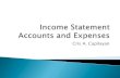 Income statement accounts and expenses