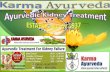 Why Ayurvedic Medicine For Kidney Disease? Karma Ayurveda