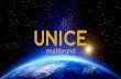 презентация каталога Unice №13