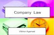 Ppt on company law (Approved)