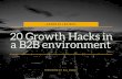20 growth hacks in a b2 b environment