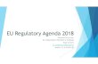 EU regulatory agenda 2018 2019