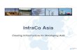Intro to InfraCo Asia Development and Investments