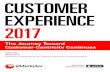 eMarketer Report - Customer Experience 2017