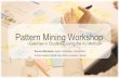 Pattern Mining Workshop (PURPLSOC2017)