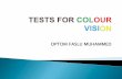 Colour vision test