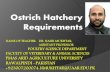 Ostrich  hatchery requirement