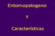 Microorganismo Entomopatogeno