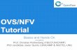 OVS-NFV Tutorial