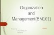 Organization&mgt intro