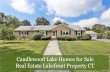 Candlewood Lake Homes for Sale Real Estate Lakefront Property CT