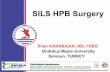 Single incision laparoscopic liver and pancreas surgery