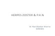 Herpes zoster and phn (1)