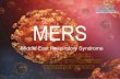 Middle East Respiratory Syndrome "MERS-CoV"