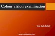 Colour vision examination