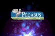 Pegasus Transit Inc
