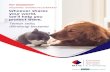 Pet Insurance Malaysia Hotline +6011-12239838