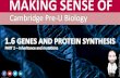 Cambridge Pre-U Biology - 1.6 Genes and Protein Synthesis PART 2 Sample