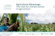 Enhancing the competitiveness of the agriculture sector under a low-carbon development pathway