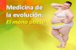 Medicina Evolucionista. El mono obeso