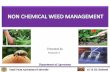 Non Chemical Weed Control