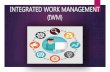 Cmmi   integrated work management level01