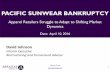 Pacific Sunwear Bankruptcy
