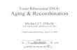 Yeast Ribosomal DNA:: Aging & Recombination