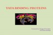 tata binding protein