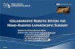 ROBOT 2017 - Collaborative robotic system for hand-assisted laparoscopic surgery