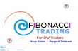 Fibonacci Trading for DW Traders