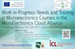 Needs and Training in Microelectronics Courses in the MicroElectronics Cloud Alliance