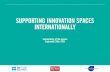 Supporting Innovation Spaces Internationally:
